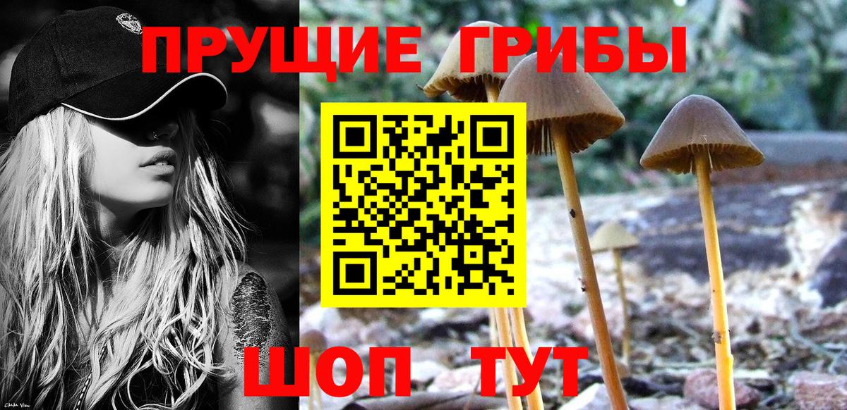 Галлюциногенные грибы прущие грибы Всеволожск