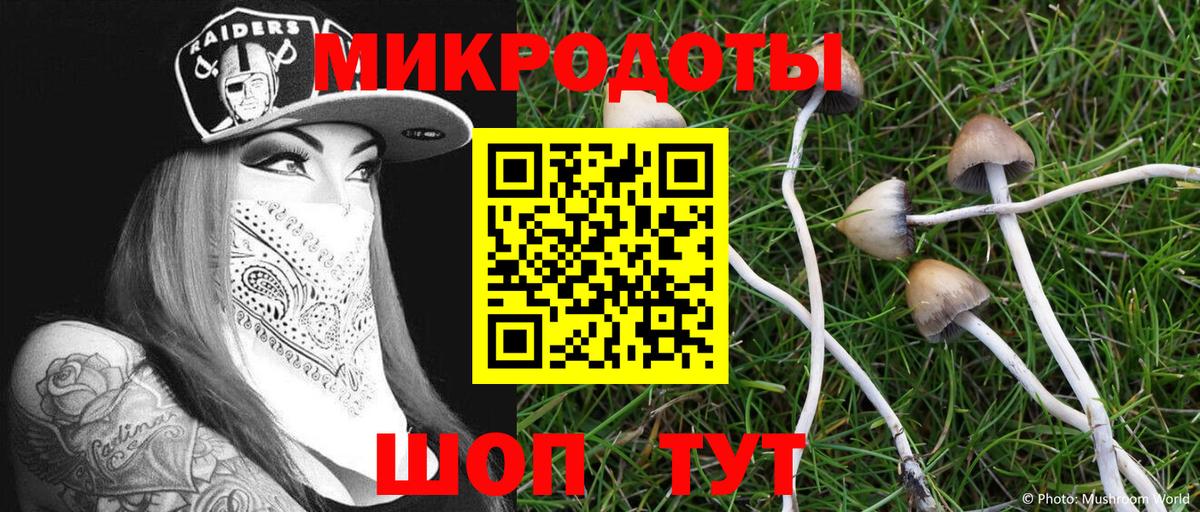наркота  Псилоцибиновые грибы мицелий  Галлюциногенные грибы Psilocybine cubensis  Вход с VPN  Всеволожск 